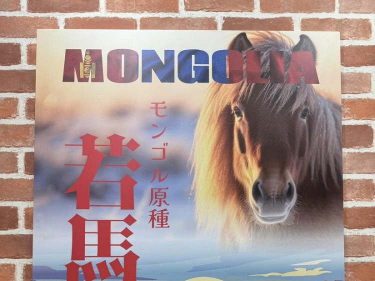 Монгол адууны махыг Японд нийлүүлж эхэллээ 